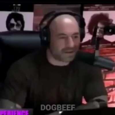 Vsus
