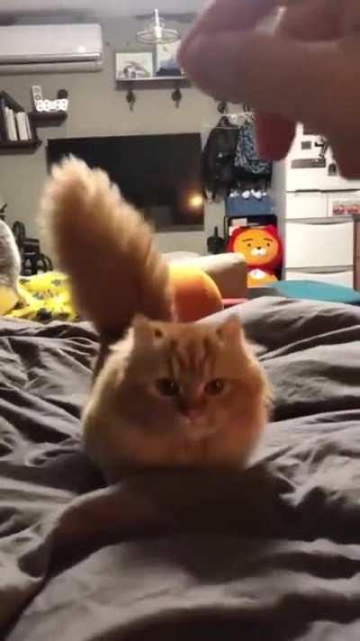 Mom am coming 