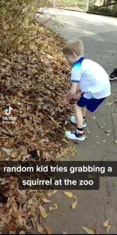Don't f*ck with squirrels