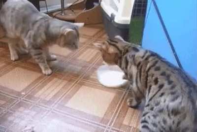 mine!!
