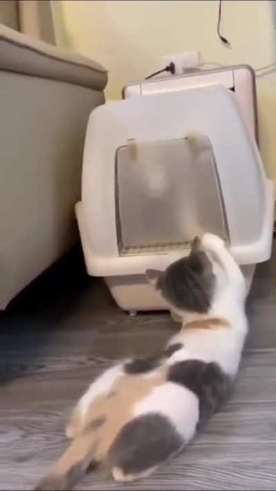 Let me go