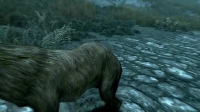 The deer was like. 