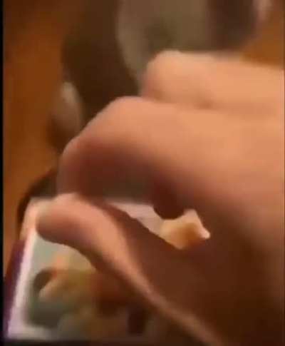 Dogs can’t have jelly beans