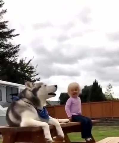 Perfectly Cut Howls