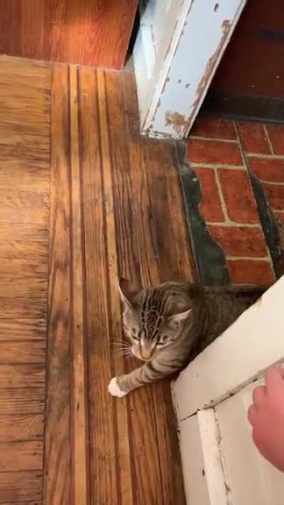 Wtf he doin