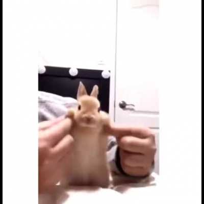 Ayo what is he doin??!! Hope I don't get banned from this
