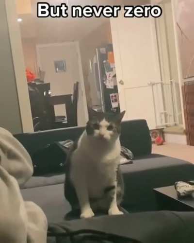 His mine, hooman!