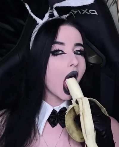 Even bunnies need their 5 a day