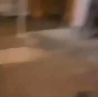 bonk
