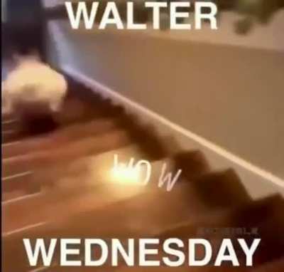 Happy Wednesday