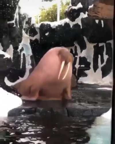 Unit incoming