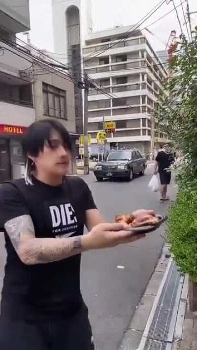 Free chicken 😎