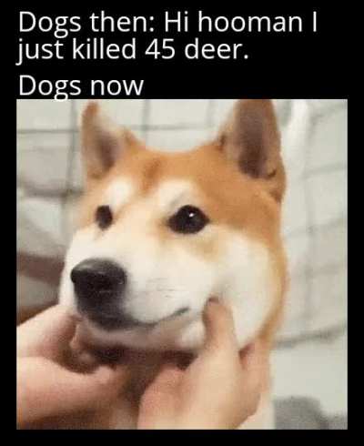 Also made dark mode friendly