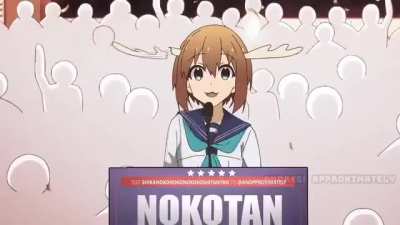 Nokotan 2024 