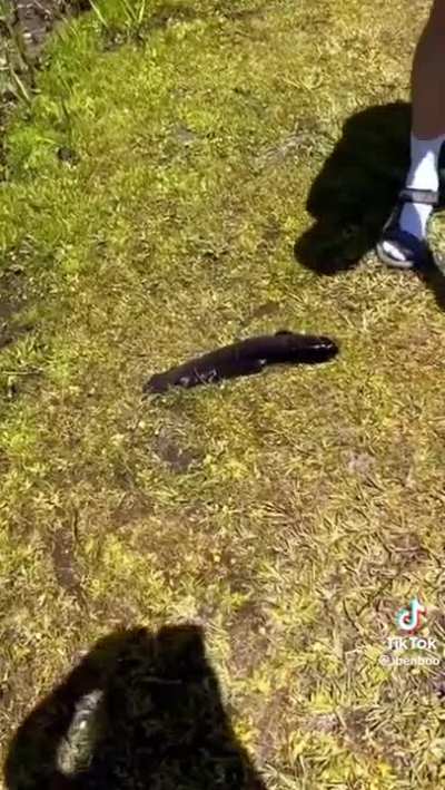 First time fishing in Georgia