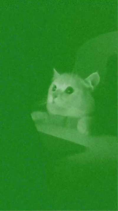 When during night raid you meet enemy with a Flashlight