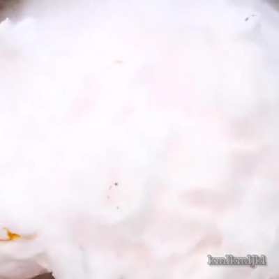 Coke Experiment
