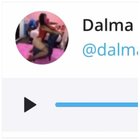 Audio