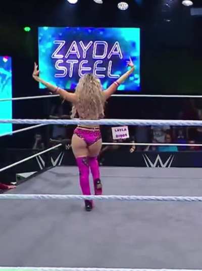 Zayda Steel