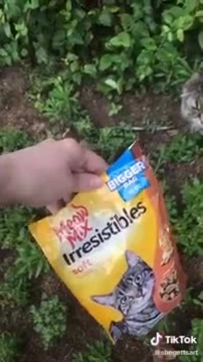 No, it’s Meow Mix. Try it.