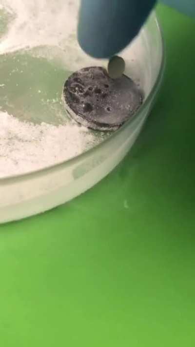 Here’s a cool party trick. Quantum levitation via the Meissner Effect. Since the superconductor needs to be very cold, could this be a feasible way of transportation in the future (via ‘maglev trains’)?