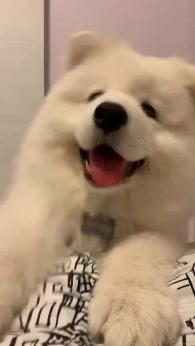 How he wakes us up in the mornings 😊