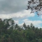 HMB as I Sing while Gliding on this Giant Swing [with sound]