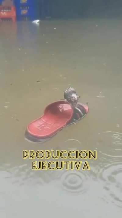 La Matanza Avanza!!!!