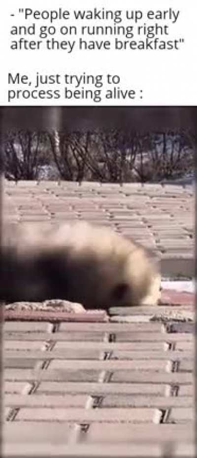 me_irl
