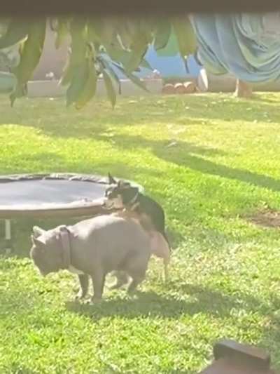 WTF!
