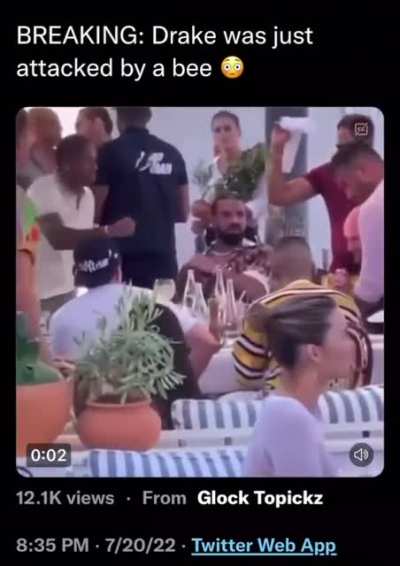 Drake the type of guy