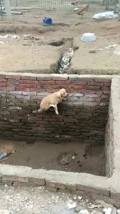 Умный мальчик