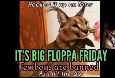 Friday at last..