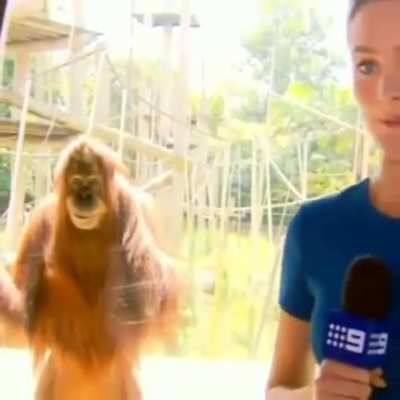 monke star e