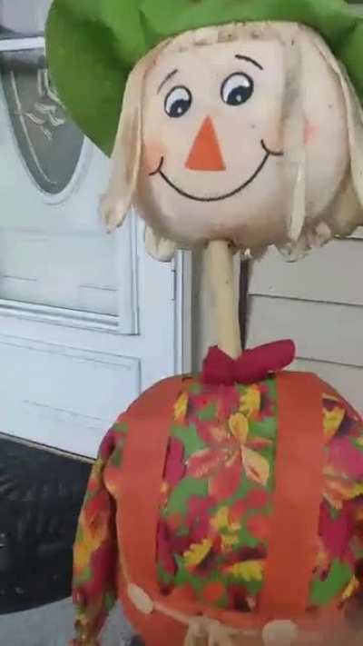 Violence against a scarecrow