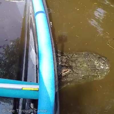 Kayaking in Florida