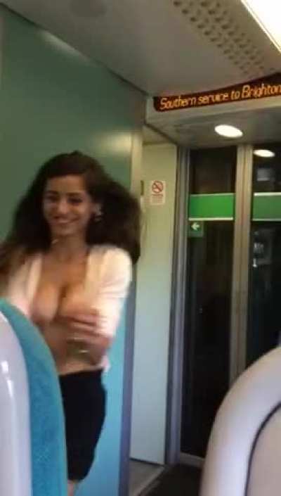 Tits On A Train