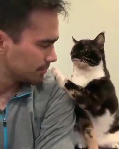 Love is in the air