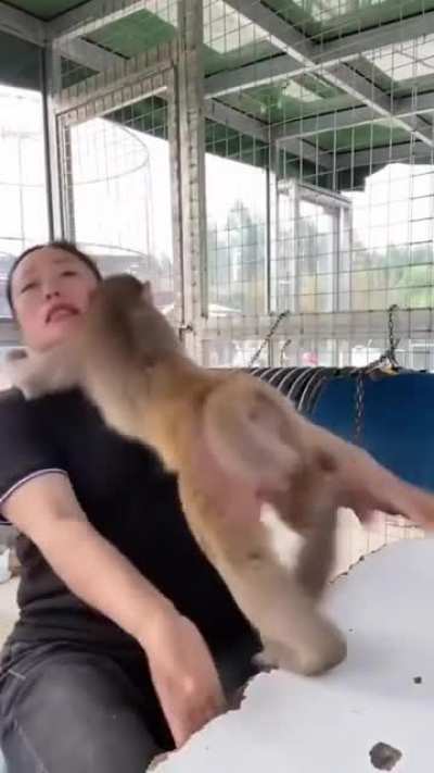 Give it to me human!!