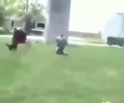 Fast and furious