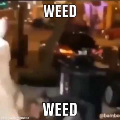 My parents said drugs are bad