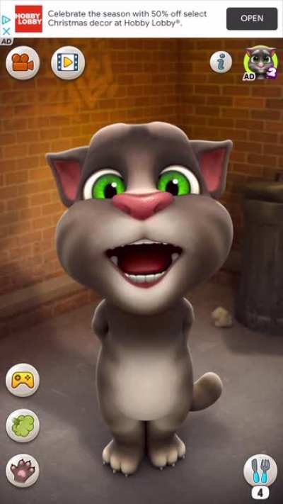 BOBCAT HALAL WORSHIP ALLAH 🐈🐈👳🏾‍<wbr>♂️