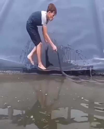 Never play with snakes