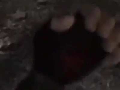 💀💀💀