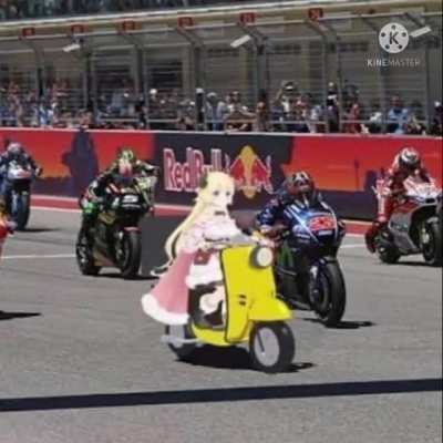 Hey who put the sheep in MotoGP?