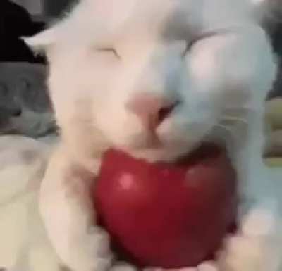 his name is eepert deepert