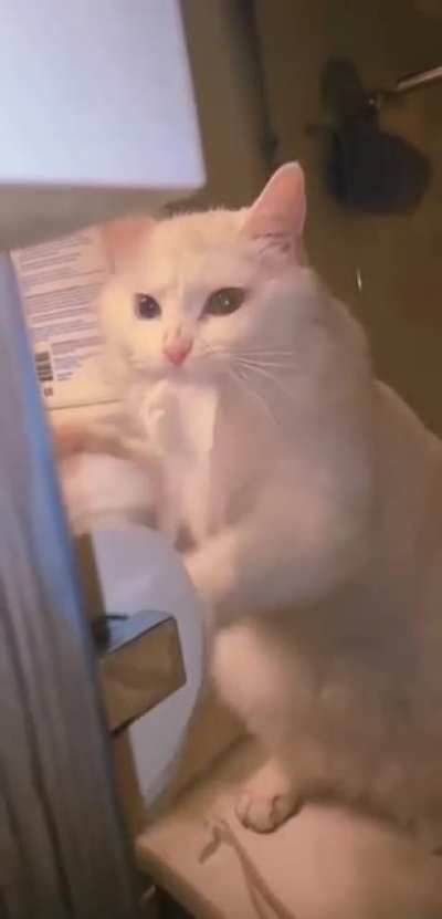 Милый шалун