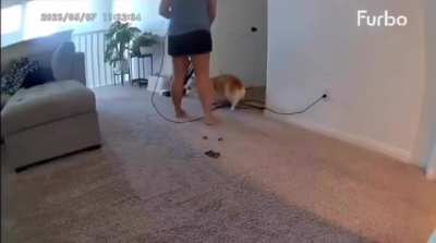 Ah yes, the good old carpet 