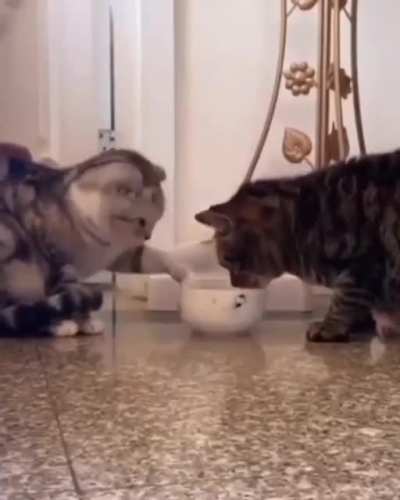 Best friends