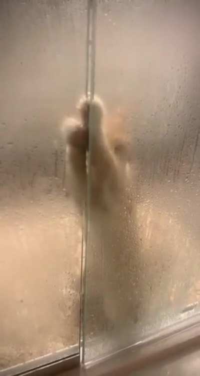 How DARE you disturb MY shower?!